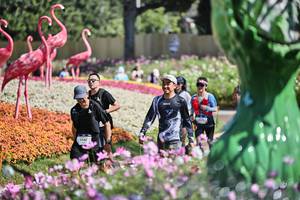 BIB: 
                            <button type="button" onclick="openModal(27793153)" class="btn btn-primary btn-sm float-right btn-popup" data-toggle="modal" data-target=".modal-high-quality">
                        <i class="fas fa-shopping-cart"></i> Add to Cart
                    </button>
                                            <button type="button" onclick="isThisMe(27793153, true)" class="btn btn-success btn-sm float-right btn-popup btn-isme hidden" data-toggle="tooltip" data-placement="bottom" title="นี่คือรูปของคุณใช่ไหม คลิกที่นี่เพื่อเอาเข้าอัลบั้ม">
                        <i class="fas fa-plus"></i> Add to album
                    </button>
                    <button type="button" onclick="isThisMe(27793153, false)" class="btn btn-warning btn-sm float-right btn-popup btn-isnotme hidden">
                        <i class="fas fa-ban"></i> Remove from album
                    </button>